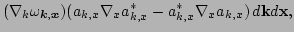 $\displaystyle (
 \nabla_k \omega_{\vec k,\vec x} ) ( a_{k,x}\nabla_{x}a_{k,x}^* -
 a_{k,x}^*\nabla_{x}a_{k,x} ) \, d {\bf k} d {\bf x},$